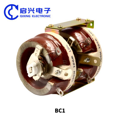 BC1 Resistenza regolabile a piastra di porcellana 500W 5R 5 Ohm Dual Couplet