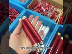 Ri80 10W 20W 30W 50W 100W 200W 300W 500W 1000W 100 Ohm Resistenze ad alta tensione cilindriche fisse
