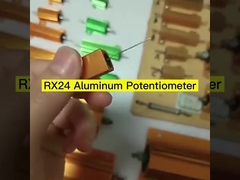 RX24 Cassa d'alluminio in oro Resistore ad alta potenza 25W 50W 100W 200W 300W Car Current Limiting Load Element