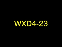 WXD4-23-3W Potenziometro a fila multi-torno 10k 50k b500k