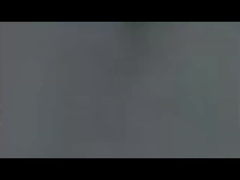 manopola del potenziometro (2)
